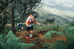 BIB: 
                            <button type="button" onclick="openModal(25338816)" class="btn btn-primary btn-sm float-right btn-popup" data-toggle="modal" data-target=".modal-high-quality">
                        <i class="fas fa-shopping-cart"></i> Add to Cart
                    </button>
                                            <button type="button" onclick="isThisMe(25338816, true)" class="btn btn-success btn-sm float-right btn-popup btn-isme hidden" data-toggle="tooltip" data-placement="bottom" title="นี่คือรูปของคุณใช่ไหม คลิกที่นี่เพื่อเอาเข้าอัลบั้ม">
                        <i class="fas fa-plus"></i> Add to album
                    </button>
                    <button type="button" onclick="isThisMe(25338816, false)" class="btn btn-warning btn-sm float-right btn-popup btn-isnotme hidden">
                        <i class="fas fa-ban"></i> Remove from album
                    </button>