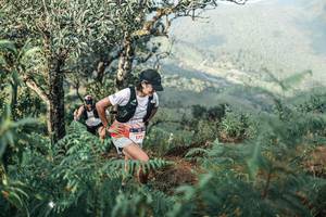 BIB: 
                            <button type="button" onclick="openModal(25339937)" class="btn btn-primary btn-sm float-right btn-popup" data-toggle="modal" data-target=".modal-high-quality">
                        <i class="fas fa-shopping-cart"></i> Add to Cart
                    </button>
                                            <button type="button" onclick="isThisMe(25339937, true)" class="btn btn-success btn-sm float-right btn-popup btn-isme hidden" data-toggle="tooltip" data-placement="bottom" title="นี่คือรูปของคุณใช่ไหม คลิกที่นี่เพื่อเอาเข้าอัลบั้ม">
                        <i class="fas fa-plus"></i> Add to album
                    </button>
                    <button type="button" onclick="isThisMe(25339937, false)" class="btn btn-warning btn-sm float-right btn-popup btn-isnotme hidden">
                        <i class="fas fa-ban"></i> Remove from album
                    </button>