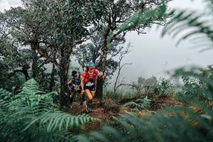 BIB: 
                            <button type="button" onclick="openModal(25335975)" class="btn btn-primary btn-sm float-right btn-popup" data-toggle="modal" data-target=".modal-high-quality">
                        <i class="fas fa-shopping-cart"></i> Add to Cart
                    </button>
                                            <button type="button" onclick="isThisMe(25335975, true)" class="btn btn-success btn-sm float-right btn-popup btn-isme hidden" data-toggle="tooltip" data-placement="bottom" title="นี่คือรูปของคุณใช่ไหม คลิกที่นี่เพื่อเอาเข้าอัลบั้ม">
                        <i class="fas fa-plus"></i> Add to album
                    </button>
                    <button type="button" onclick="isThisMe(25335975, false)" class="btn btn-warning btn-sm float-right btn-popup btn-isnotme hidden">
                        <i class="fas fa-ban"></i> Remove from album
                    </button>