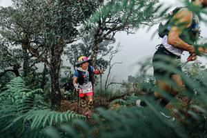 BIB: 
                            <button type="button" onclick="openModal(25329126)" class="btn btn-primary btn-sm float-right btn-popup" data-toggle="modal" data-target=".modal-high-quality">
                        <i class="fas fa-shopping-cart"></i> Add to Cart
                    </button>
                                            <button type="button" onclick="isThisMe(25329126, true)" class="btn btn-success btn-sm float-right btn-popup btn-isme hidden" data-toggle="tooltip" data-placement="bottom" title="นี่คือรูปของคุณใช่ไหม คลิกที่นี่เพื่อเอาเข้าอัลบั้ม">
                        <i class="fas fa-plus"></i> Add to album
                    </button>
                    <button type="button" onclick="isThisMe(25329126, false)" class="btn btn-warning btn-sm float-right btn-popup btn-isnotme hidden">
                        <i class="fas fa-ban"></i> Remove from album
                    </button>