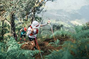 BIB: 
                            <button type="button" onclick="openModal(25338647)" class="btn btn-primary btn-sm float-right btn-popup" data-toggle="modal" data-target=".modal-high-quality">
                        <i class="fas fa-shopping-cart"></i> Add to Cart
                    </button>
                                            <button type="button" onclick="isThisMe(25338647, true)" class="btn btn-success btn-sm float-right btn-popup btn-isme hidden" data-toggle="tooltip" data-placement="bottom" title="นี่คือรูปของคุณใช่ไหม คลิกที่นี่เพื่อเอาเข้าอัลบั้ม">
                        <i class="fas fa-plus"></i> Add to album
                    </button>
                    <button type="button" onclick="isThisMe(25338647, false)" class="btn btn-warning btn-sm float-right btn-popup btn-isnotme hidden">
                        <i class="fas fa-ban"></i> Remove from album
                    </button>