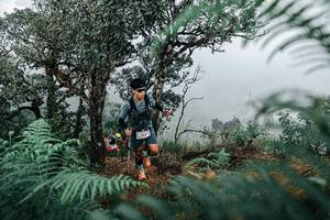 BIB: 
                            <button type="button" onclick="openModal(25336143)" class="btn btn-primary btn-sm float-right btn-popup" data-toggle="modal" data-target=".modal-high-quality">
                        <i class="fas fa-shopping-cart"></i> Add to Cart
                    </button>
                                            <button type="button" onclick="isThisMe(25336143, true)" class="btn btn-success btn-sm float-right btn-popup btn-isme hidden" data-toggle="tooltip" data-placement="bottom" title="นี่คือรูปของคุณใช่ไหม คลิกที่นี่เพื่อเอาเข้าอัลบั้ม">
                        <i class="fas fa-plus"></i> Add to album
                    </button>
                    <button type="button" onclick="isThisMe(25336143, false)" class="btn btn-warning btn-sm float-right btn-popup btn-isnotme hidden">
                        <i class="fas fa-ban"></i> Remove from album
                    </button>