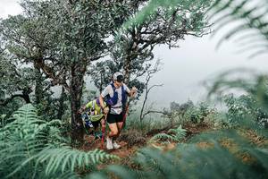 BIB: 
                            <button type="button" onclick="openModal(25329061)" class="btn btn-primary btn-sm float-right btn-popup" data-toggle="modal" data-target=".modal-high-quality">
                        <i class="fas fa-shopping-cart"></i> Add to Cart
                    </button>
                                            <button type="button" onclick="isThisMe(25329061, true)" class="btn btn-success btn-sm float-right btn-popup btn-isme hidden" data-toggle="tooltip" data-placement="bottom" title="นี่คือรูปของคุณใช่ไหม คลิกที่นี่เพื่อเอาเข้าอัลบั้ม">
                        <i class="fas fa-plus"></i> Add to album
                    </button>
                    <button type="button" onclick="isThisMe(25329061, false)" class="btn btn-warning btn-sm float-right btn-popup btn-isnotme hidden">
                        <i class="fas fa-ban"></i> Remove from album
                    </button>