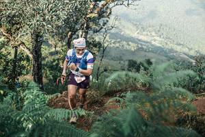 BIB: 
                            <button type="button" onclick="openModal(25340006)" class="btn btn-primary btn-sm float-right btn-popup" data-toggle="modal" data-target=".modal-high-quality">
                        <i class="fas fa-shopping-cart"></i> Add to Cart
                    </button>
                                            <button type="button" onclick="isThisMe(25340006, true)" class="btn btn-success btn-sm float-right btn-popup btn-isme hidden" data-toggle="tooltip" data-placement="bottom" title="นี่คือรูปของคุณใช่ไหม คลิกที่นี่เพื่อเอาเข้าอัลบั้ม">
                        <i class="fas fa-plus"></i> Add to album
                    </button>
                    <button type="button" onclick="isThisMe(25340006, false)" class="btn btn-warning btn-sm float-right btn-popup btn-isnotme hidden">
                        <i class="fas fa-ban"></i> Remove from album
                    </button>