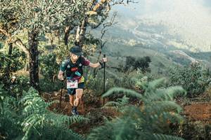 BIB: 
                            <button type="button" onclick="openModal(25340108)" class="btn btn-primary btn-sm float-right btn-popup" data-toggle="modal" data-target=".modal-high-quality">
                        <i class="fas fa-shopping-cart"></i> Add to Cart
                    </button>
                                            <button type="button" onclick="isThisMe(25340108, true)" class="btn btn-success btn-sm float-right btn-popup btn-isme hidden" data-toggle="tooltip" data-placement="bottom" title="นี่คือรูปของคุณใช่ไหม คลิกที่นี่เพื่อเอาเข้าอัลบั้ม">
                        <i class="fas fa-plus"></i> Add to album
                    </button>
                    <button type="button" onclick="isThisMe(25340108, false)" class="btn btn-warning btn-sm float-right btn-popup btn-isnotme hidden">
                        <i class="fas fa-ban"></i> Remove from album
                    </button>