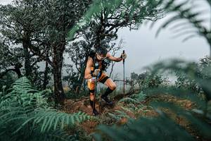 BIB: 
                            <button type="button" onclick="openModal(25328960)" class="btn btn-primary btn-sm float-right btn-popup" data-toggle="modal" data-target=".modal-high-quality">
                        <i class="fas fa-shopping-cart"></i> Add to Cart
                    </button>
                                            <button type="button" onclick="isThisMe(25328960, true)" class="btn btn-success btn-sm float-right btn-popup btn-isme hidden" data-toggle="tooltip" data-placement="bottom" title="นี่คือรูปของคุณใช่ไหม คลิกที่นี่เพื่อเอาเข้าอัลบั้ม">
                        <i class="fas fa-plus"></i> Add to album
                    </button>
                    <button type="button" onclick="isThisMe(25328960, false)" class="btn btn-warning btn-sm float-right btn-popup btn-isnotme hidden">
                        <i class="fas fa-ban"></i> Remove from album
                    </button>