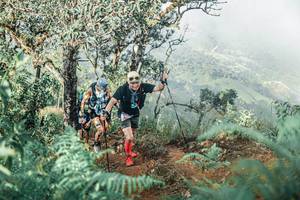 BIB: 
                            <button type="button" onclick="openModal(25338380)" class="btn btn-primary btn-sm float-right btn-popup" data-toggle="modal" data-target=".modal-high-quality">
                        <i class="fas fa-shopping-cart"></i> Add to Cart
                    </button>
                                            <button type="button" onclick="isThisMe(25338380, true)" class="btn btn-success btn-sm float-right btn-popup btn-isme hidden" data-toggle="tooltip" data-placement="bottom" title="นี่คือรูปของคุณใช่ไหม คลิกที่นี่เพื่อเอาเข้าอัลบั้ม">
                        <i class="fas fa-plus"></i> Add to album
                    </button>
                    <button type="button" onclick="isThisMe(25338380, false)" class="btn btn-warning btn-sm float-right btn-popup btn-isnotme hidden">
                        <i class="fas fa-ban"></i> Remove from album
                    </button>