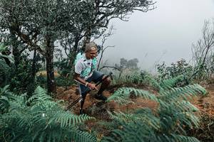 BIB: 
                            <button type="button" onclick="openModal(25330089)" class="btn btn-primary btn-sm float-right btn-popup" data-toggle="modal" data-target=".modal-high-quality">
                        <i class="fas fa-shopping-cart"></i> Add to Cart
                    </button>
                                            <button type="button" onclick="isThisMe(25330089, true)" class="btn btn-success btn-sm float-right btn-popup btn-isme hidden" data-toggle="tooltip" data-placement="bottom" title="นี่คือรูปของคุณใช่ไหม คลิกที่นี่เพื่อเอาเข้าอัลบั้ม">
                        <i class="fas fa-plus"></i> Add to album
                    </button>
                    <button type="button" onclick="isThisMe(25330089, false)" class="btn btn-warning btn-sm float-right btn-popup btn-isnotme hidden">
                        <i class="fas fa-ban"></i> Remove from album
                    </button>