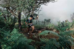 BIB: 
                            <button type="button" onclick="openModal(25329407)" class="btn btn-primary btn-sm float-right btn-popup" data-toggle="modal" data-target=".modal-high-quality">
                        <i class="fas fa-shopping-cart"></i> Add to Cart
                    </button>
                                            <button type="button" onclick="isThisMe(25329407, true)" class="btn btn-success btn-sm float-right btn-popup btn-isme hidden" data-toggle="tooltip" data-placement="bottom" title="นี่คือรูปของคุณใช่ไหม คลิกที่นี่เพื่อเอาเข้าอัลบั้ม">
                        <i class="fas fa-plus"></i> Add to album
                    </button>
                    <button type="button" onclick="isThisMe(25329407, false)" class="btn btn-warning btn-sm float-right btn-popup btn-isnotme hidden">
                        <i class="fas fa-ban"></i> Remove from album
                    </button>