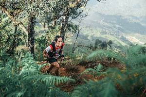 BIB: 
                            <button type="button" onclick="openModal(25338687)" class="btn btn-primary btn-sm float-right btn-popup" data-toggle="modal" data-target=".modal-high-quality">
                        <i class="fas fa-shopping-cart"></i> Add to Cart
                    </button>
                                            <button type="button" onclick="isThisMe(25338687, true)" class="btn btn-success btn-sm float-right btn-popup btn-isme hidden" data-toggle="tooltip" data-placement="bottom" title="นี่คือรูปของคุณใช่ไหม คลิกที่นี่เพื่อเอาเข้าอัลบั้ม">
                        <i class="fas fa-plus"></i> Add to album
                    </button>
                    <button type="button" onclick="isThisMe(25338687, false)" class="btn btn-warning btn-sm float-right btn-popup btn-isnotme hidden">
                        <i class="fas fa-ban"></i> Remove from album
                    </button>