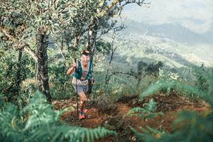 BIB: 
                            <button type="button" onclick="openModal(25338698)" class="btn btn-primary btn-sm float-right btn-popup" data-toggle="modal" data-target=".modal-high-quality">
                        <i class="fas fa-shopping-cart"></i> Add to Cart
                    </button>
                                            <button type="button" onclick="isThisMe(25338698, true)" class="btn btn-success btn-sm float-right btn-popup btn-isme hidden" data-toggle="tooltip" data-placement="bottom" title="นี่คือรูปของคุณใช่ไหม คลิกที่นี่เพื่อเอาเข้าอัลบั้ม">
                        <i class="fas fa-plus"></i> Add to album
                    </button>
                    <button type="button" onclick="isThisMe(25338698, false)" class="btn btn-warning btn-sm float-right btn-popup btn-isnotme hidden">
                        <i class="fas fa-ban"></i> Remove from album
                    </button>