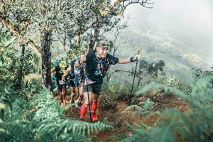 BIB: 
                            <button type="button" onclick="openModal(25338389)" class="btn btn-primary btn-sm float-right btn-popup" data-toggle="modal" data-target=".modal-high-quality">
                        <i class="fas fa-shopping-cart"></i> Add to Cart
                    </button>
                                            <button type="button" onclick="isThisMe(25338389, true)" class="btn btn-success btn-sm float-right btn-popup btn-isme hidden" data-toggle="tooltip" data-placement="bottom" title="นี่คือรูปของคุณใช่ไหม คลิกที่นี่เพื่อเอาเข้าอัลบั้ม">
                        <i class="fas fa-plus"></i> Add to album
                    </button>
                    <button type="button" onclick="isThisMe(25338389, false)" class="btn btn-warning btn-sm float-right btn-popup btn-isnotme hidden">
                        <i class="fas fa-ban"></i> Remove from album
                    </button>