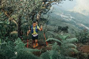 BIB: 
                            <button type="button" onclick="openModal(25340248)" class="btn btn-primary btn-sm float-right btn-popup" data-toggle="modal" data-target=".modal-high-quality">
                        <i class="fas fa-shopping-cart"></i> Add to Cart
                    </button>
                                            <button type="button" onclick="isThisMe(25340248, true)" class="btn btn-success btn-sm float-right btn-popup btn-isme hidden" data-toggle="tooltip" data-placement="bottom" title="นี่คือรูปของคุณใช่ไหม คลิกที่นี่เพื่อเอาเข้าอัลบั้ม">
                        <i class="fas fa-plus"></i> Add to album
                    </button>
                    <button type="button" onclick="isThisMe(25340248, false)" class="btn btn-warning btn-sm float-right btn-popup btn-isnotme hidden">
                        <i class="fas fa-ban"></i> Remove from album
                    </button>