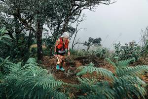 BIB: 
                            <button type="button" onclick="openModal(25330115)" class="btn btn-primary btn-sm float-right btn-popup" data-toggle="modal" data-target=".modal-high-quality">
                        <i class="fas fa-shopping-cart"></i> Add to Cart
                    </button>
                                            <button type="button" onclick="isThisMe(25330115, true)" class="btn btn-success btn-sm float-right btn-popup btn-isme hidden" data-toggle="tooltip" data-placement="bottom" title="นี่คือรูปของคุณใช่ไหม คลิกที่นี่เพื่อเอาเข้าอัลบั้ม">
                        <i class="fas fa-plus"></i> Add to album
                    </button>
                    <button type="button" onclick="isThisMe(25330115, false)" class="btn btn-warning btn-sm float-right btn-popup btn-isnotme hidden">
                        <i class="fas fa-ban"></i> Remove from album
                    </button>