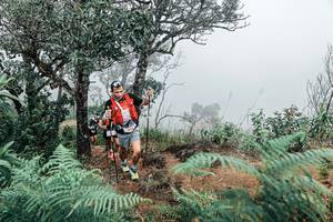 BIB: 
                            <button type="button" onclick="openModal(25329473)" class="btn btn-primary btn-sm float-right btn-popup" data-toggle="modal" data-target=".modal-high-quality">
                        <i class="fas fa-shopping-cart"></i> Add to Cart
                    </button>
                                            <button type="button" onclick="isThisMe(25329473, true)" class="btn btn-success btn-sm float-right btn-popup btn-isme hidden" data-toggle="tooltip" data-placement="bottom" title="นี่คือรูปของคุณใช่ไหม คลิกที่นี่เพื่อเอาเข้าอัลบั้ม">
                        <i class="fas fa-plus"></i> Add to album
                    </button>
                    <button type="button" onclick="isThisMe(25329473, false)" class="btn btn-warning btn-sm float-right btn-popup btn-isnotme hidden">
                        <i class="fas fa-ban"></i> Remove from album
                    </button>