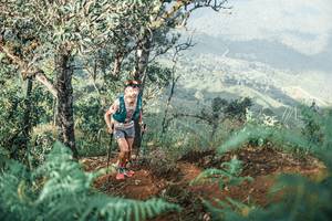 BIB: 
                            <button type="button" onclick="openModal(25338696)" class="btn btn-primary btn-sm float-right btn-popup" data-toggle="modal" data-target=".modal-high-quality">
                        <i class="fas fa-shopping-cart"></i> Add to Cart
                    </button>
                                            <button type="button" onclick="isThisMe(25338696, true)" class="btn btn-success btn-sm float-right btn-popup btn-isme hidden" data-toggle="tooltip" data-placement="bottom" title="นี่คือรูปของคุณใช่ไหม คลิกที่นี่เพื่อเอาเข้าอัลบั้ม">
                        <i class="fas fa-plus"></i> Add to album
                    </button>
                    <button type="button" onclick="isThisMe(25338696, false)" class="btn btn-warning btn-sm float-right btn-popup btn-isnotme hidden">
                        <i class="fas fa-ban"></i> Remove from album
                    </button>