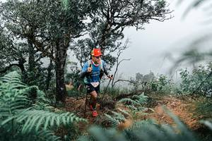 BIB: 
                            <button type="button" onclick="openModal(25328987)" class="btn btn-primary btn-sm float-right btn-popup" data-toggle="modal" data-target=".modal-high-quality">
                        <i class="fas fa-shopping-cart"></i> Add to Cart
                    </button>
                                            <button type="button" onclick="isThisMe(25328987, true)" class="btn btn-success btn-sm float-right btn-popup btn-isme hidden" data-toggle="tooltip" data-placement="bottom" title="นี่คือรูปของคุณใช่ไหม คลิกที่นี่เพื่อเอาเข้าอัลบั้ม">
                        <i class="fas fa-plus"></i> Add to album
                    </button>
                    <button type="button" onclick="isThisMe(25328987, false)" class="btn btn-warning btn-sm float-right btn-popup btn-isnotme hidden">
                        <i class="fas fa-ban"></i> Remove from album
                    </button>