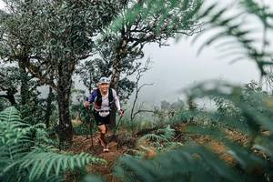 BIB: 
                            <button type="button" onclick="openModal(25335896)" class="btn btn-primary btn-sm float-right btn-popup" data-toggle="modal" data-target=".modal-high-quality">
                        <i class="fas fa-shopping-cart"></i> Add to Cart
                    </button>
                                            <button type="button" onclick="isThisMe(25335896, true)" class="btn btn-success btn-sm float-right btn-popup btn-isme hidden" data-toggle="tooltip" data-placement="bottom" title="นี่คือรูปของคุณใช่ไหม คลิกที่นี่เพื่อเอาเข้าอัลบั้ม">
                        <i class="fas fa-plus"></i> Add to album
                    </button>
                    <button type="button" onclick="isThisMe(25335896, false)" class="btn btn-warning btn-sm float-right btn-popup btn-isnotme hidden">
                        <i class="fas fa-ban"></i> Remove from album
                    </button>