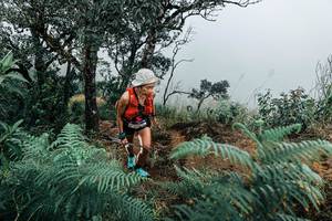 BIB: 
                            <button type="button" onclick="openModal(25330125)" class="btn btn-primary btn-sm float-right btn-popup" data-toggle="modal" data-target=".modal-high-quality">
                        <i class="fas fa-shopping-cart"></i> Add to Cart
                    </button>
                                            <button type="button" onclick="isThisMe(25330125, true)" class="btn btn-success btn-sm float-right btn-popup btn-isme hidden" data-toggle="tooltip" data-placement="bottom" title="นี่คือรูปของคุณใช่ไหม คลิกที่นี่เพื่อเอาเข้าอัลบั้ม">
                        <i class="fas fa-plus"></i> Add to album
                    </button>
                    <button type="button" onclick="isThisMe(25330125, false)" class="btn btn-warning btn-sm float-right btn-popup btn-isnotme hidden">
                        <i class="fas fa-ban"></i> Remove from album
                    </button>