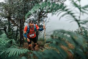 BIB: 
                            <button type="button" onclick="openModal(25335977)" class="btn btn-primary btn-sm float-right btn-popup" data-toggle="modal" data-target=".modal-high-quality">
                        <i class="fas fa-shopping-cart"></i> Add to Cart
                    </button>
                                            <button type="button" onclick="isThisMe(25335977, true)" class="btn btn-success btn-sm float-right btn-popup btn-isme hidden" data-toggle="tooltip" data-placement="bottom" title="นี่คือรูปของคุณใช่ไหม คลิกที่นี่เพื่อเอาเข้าอัลบั้ม">
                        <i class="fas fa-plus"></i> Add to album
                    </button>
                    <button type="button" onclick="isThisMe(25335977, false)" class="btn btn-warning btn-sm float-right btn-popup btn-isnotme hidden">
                        <i class="fas fa-ban"></i> Remove from album
                    </button>