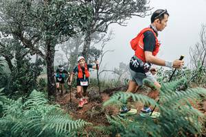 BIB: 
                            <button type="button" onclick="openModal(25329486)" class="btn btn-primary btn-sm float-right btn-popup" data-toggle="modal" data-target=".modal-high-quality">
                        <i class="fas fa-shopping-cart"></i> Add to Cart
                    </button>
                                            <button type="button" onclick="isThisMe(25329486, true)" class="btn btn-success btn-sm float-right btn-popup btn-isme hidden" data-toggle="tooltip" data-placement="bottom" title="นี่คือรูปของคุณใช่ไหม คลิกที่นี่เพื่อเอาเข้าอัลบั้ม">
                        <i class="fas fa-plus"></i> Add to album
                    </button>
                    <button type="button" onclick="isThisMe(25329486, false)" class="btn btn-warning btn-sm float-right btn-popup btn-isnotme hidden">
                        <i class="fas fa-ban"></i> Remove from album
                    </button>