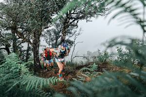 BIB: 
                            <button type="button" onclick="openModal(25328833)" class="btn btn-primary btn-sm float-right btn-popup" data-toggle="modal" data-target=".modal-high-quality">
                        <i class="fas fa-shopping-cart"></i> Add to Cart
                    </button>
                                            <button type="button" onclick="isThisMe(25328833, true)" class="btn btn-success btn-sm float-right btn-popup btn-isme hidden" data-toggle="tooltip" data-placement="bottom" title="นี่คือรูปของคุณใช่ไหม คลิกที่นี่เพื่อเอาเข้าอัลบั้ม">
                        <i class="fas fa-plus"></i> Add to album
                    </button>
                    <button type="button" onclick="isThisMe(25328833, false)" class="btn btn-warning btn-sm float-right btn-popup btn-isnotme hidden">
                        <i class="fas fa-ban"></i> Remove from album
                    </button>