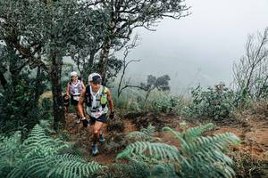 BIB: 
                            <button type="button" onclick="openModal(25329916)" class="btn btn-primary btn-sm float-right btn-popup" data-toggle="modal" data-target=".modal-high-quality">
                        <i class="fas fa-shopping-cart"></i> Add to Cart
                    </button>
                                            <button type="button" onclick="isThisMe(25329916, true)" class="btn btn-success btn-sm float-right btn-popup btn-isme hidden" data-toggle="tooltip" data-placement="bottom" title="นี่คือรูปของคุณใช่ไหม คลิกที่นี่เพื่อเอาเข้าอัลบั้ม">
                        <i class="fas fa-plus"></i> Add to album
                    </button>
                    <button type="button" onclick="isThisMe(25329916, false)" class="btn btn-warning btn-sm float-right btn-popup btn-isnotme hidden">
                        <i class="fas fa-ban"></i> Remove from album
                    </button>