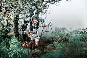 BIB: 
                            <button type="button" onclick="openModal(25338143)" class="btn btn-primary btn-sm float-right btn-popup" data-toggle="modal" data-target=".modal-high-quality">
                        <i class="fas fa-shopping-cart"></i> Add to Cart
                    </button>
                                            <button type="button" onclick="isThisMe(25338143, true)" class="btn btn-success btn-sm float-right btn-popup btn-isme hidden" data-toggle="tooltip" data-placement="bottom" title="นี่คือรูปของคุณใช่ไหม คลิกที่นี่เพื่อเอาเข้าอัลบั้ม">
                        <i class="fas fa-plus"></i> Add to album
                    </button>
                    <button type="button" onclick="isThisMe(25338143, false)" class="btn btn-warning btn-sm float-right btn-popup btn-isnotme hidden">
                        <i class="fas fa-ban"></i> Remove from album
                    </button>