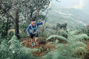 BIB: 
                            <button type="button" onclick="openModal(25339657)" class="btn btn-primary btn-sm float-right btn-popup" data-toggle="modal" data-target=".modal-high-quality">
                        <i class="fas fa-shopping-cart"></i> Add to Cart
                    </button>
                                            <button type="button" onclick="isThisMe(25339657, true)" class="btn btn-success btn-sm float-right btn-popup btn-isme hidden" data-toggle="tooltip" data-placement="bottom" title="นี่คือรูปของคุณใช่ไหม คลิกที่นี่เพื่อเอาเข้าอัลบั้ม">
                        <i class="fas fa-plus"></i> Add to album
                    </button>
                    <button type="button" onclick="isThisMe(25339657, false)" class="btn btn-warning btn-sm float-right btn-popup btn-isnotme hidden">
                        <i class="fas fa-ban"></i> Remove from album
                    </button>