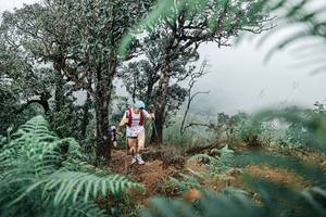 BIB: 
                            <button type="button" onclick="openModal(25329044)" class="btn btn-primary btn-sm float-right btn-popup" data-toggle="modal" data-target=".modal-high-quality">
                        <i class="fas fa-shopping-cart"></i> Add to Cart
                    </button>
                                            <button type="button" onclick="isThisMe(25329044, true)" class="btn btn-success btn-sm float-right btn-popup btn-isme hidden" data-toggle="tooltip" data-placement="bottom" title="นี่คือรูปของคุณใช่ไหม คลิกที่นี่เพื่อเอาเข้าอัลบั้ม">
                        <i class="fas fa-plus"></i> Add to album
                    </button>
                    <button type="button" onclick="isThisMe(25329044, false)" class="btn btn-warning btn-sm float-right btn-popup btn-isnotme hidden">
                        <i class="fas fa-ban"></i> Remove from album
                    </button>