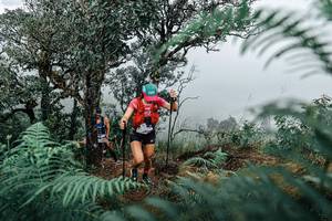 BIB: 
                            <button type="button" onclick="openModal(25336025)" class="btn btn-primary btn-sm float-right btn-popup" data-toggle="modal" data-target=".modal-high-quality">
                        <i class="fas fa-shopping-cart"></i> Add to Cart
                    </button>
                                            <button type="button" onclick="isThisMe(25336025, true)" class="btn btn-success btn-sm float-right btn-popup btn-isme hidden" data-toggle="tooltip" data-placement="bottom" title="นี่คือรูปของคุณใช่ไหม คลิกที่นี่เพื่อเอาเข้าอัลบั้ม">
                        <i class="fas fa-plus"></i> Add to album
                    </button>
                    <button type="button" onclick="isThisMe(25336025, false)" class="btn btn-warning btn-sm float-right btn-popup btn-isnotme hidden">
                        <i class="fas fa-ban"></i> Remove from album
                    </button>