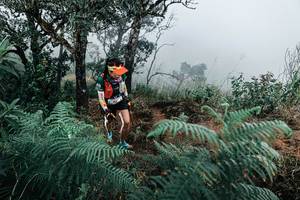 BIB: 
                            <button type="button" onclick="openModal(25329412)" class="btn btn-primary btn-sm float-right btn-popup" data-toggle="modal" data-target=".modal-high-quality">
                        <i class="fas fa-shopping-cart"></i> Add to Cart
                    </button>
                                            <button type="button" onclick="isThisMe(25329412, true)" class="btn btn-success btn-sm float-right btn-popup btn-isme hidden" data-toggle="tooltip" data-placement="bottom" title="นี่คือรูปของคุณใช่ไหม คลิกที่นี่เพื่อเอาเข้าอัลบั้ม">
                        <i class="fas fa-plus"></i> Add to album
                    </button>
                    <button type="button" onclick="isThisMe(25329412, false)" class="btn btn-warning btn-sm float-right btn-popup btn-isnotme hidden">
                        <i class="fas fa-ban"></i> Remove from album
                    </button>