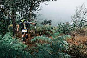 BIB: 
                            <button type="button" onclick="openModal(25329991)" class="btn btn-primary btn-sm float-right btn-popup" data-toggle="modal" data-target=".modal-high-quality">
                        <i class="fas fa-shopping-cart"></i> Add to Cart
                    </button>
                                            <button type="button" onclick="isThisMe(25329991, true)" class="btn btn-success btn-sm float-right btn-popup btn-isme hidden" data-toggle="tooltip" data-placement="bottom" title="นี่คือรูปของคุณใช่ไหม คลิกที่นี่เพื่อเอาเข้าอัลบั้ม">
                        <i class="fas fa-plus"></i> Add to album
                    </button>
                    <button type="button" onclick="isThisMe(25329991, false)" class="btn btn-warning btn-sm float-right btn-popup btn-isnotme hidden">
                        <i class="fas fa-ban"></i> Remove from album
                    </button>