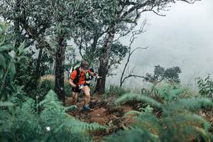 BIB: 
                            <button type="button" onclick="openModal(25329572)" class="btn btn-primary btn-sm float-right btn-popup" data-toggle="modal" data-target=".modal-high-quality">
                        <i class="fas fa-shopping-cart"></i> Add to Cart
                    </button>
                                            <button type="button" onclick="isThisMe(25329572, true)" class="btn btn-success btn-sm float-right btn-popup btn-isme hidden" data-toggle="tooltip" data-placement="bottom" title="นี่คือรูปของคุณใช่ไหม คลิกที่นี่เพื่อเอาเข้าอัลบั้ม">
                        <i class="fas fa-plus"></i> Add to album
                    </button>
                    <button type="button" onclick="isThisMe(25329572, false)" class="btn btn-warning btn-sm float-right btn-popup btn-isnotme hidden">
                        <i class="fas fa-ban"></i> Remove from album
                    </button>