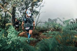 BIB: 
                            <button type="button" onclick="openModal(25338210)" class="btn btn-primary btn-sm float-right btn-popup" data-toggle="modal" data-target=".modal-high-quality">
                        <i class="fas fa-shopping-cart"></i> Add to Cart
                    </button>
                                            <button type="button" onclick="isThisMe(25338210, true)" class="btn btn-success btn-sm float-right btn-popup btn-isme hidden" data-toggle="tooltip" data-placement="bottom" title="นี่คือรูปของคุณใช่ไหม คลิกที่นี่เพื่อเอาเข้าอัลบั้ม">
                        <i class="fas fa-plus"></i> Add to album
                    </button>
                    <button type="button" onclick="isThisMe(25338210, false)" class="btn btn-warning btn-sm float-right btn-popup btn-isnotme hidden">
                        <i class="fas fa-ban"></i> Remove from album
                    </button>