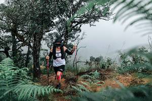 BIB: 
                            <button type="button" onclick="openModal(25329829)" class="btn btn-primary btn-sm float-right btn-popup" data-toggle="modal" data-target=".modal-high-quality">
                        <i class="fas fa-shopping-cart"></i> Add to Cart
                    </button>
                                            <button type="button" onclick="isThisMe(25329829, true)" class="btn btn-success btn-sm float-right btn-popup btn-isme hidden" data-toggle="tooltip" data-placement="bottom" title="นี่คือรูปของคุณใช่ไหม คลิกที่นี่เพื่อเอาเข้าอัลบั้ม">
                        <i class="fas fa-plus"></i> Add to album
                    </button>
                    <button type="button" onclick="isThisMe(25329829, false)" class="btn btn-warning btn-sm float-right btn-popup btn-isnotme hidden">
                        <i class="fas fa-ban"></i> Remove from album
                    </button>