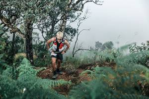 BIB: 
                            <button type="button" onclick="openModal(25337872)" class="btn btn-primary btn-sm float-right btn-popup" data-toggle="modal" data-target=".modal-high-quality">
                        <i class="fas fa-shopping-cart"></i> Add to Cart
                    </button>
                                            <button type="button" onclick="isThisMe(25337872, true)" class="btn btn-success btn-sm float-right btn-popup btn-isme hidden" data-toggle="tooltip" data-placement="bottom" title="นี่คือรูปของคุณใช่ไหม คลิกที่นี่เพื่อเอาเข้าอัลบั้ม">
                        <i class="fas fa-plus"></i> Add to album
                    </button>
                    <button type="button" onclick="isThisMe(25337872, false)" class="btn btn-warning btn-sm float-right btn-popup btn-isnotme hidden">
                        <i class="fas fa-ban"></i> Remove from album
                    </button>