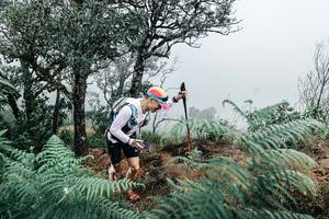 BIB: 
                            <button type="button" onclick="openModal(25329542)" class="btn btn-primary btn-sm float-right btn-popup" data-toggle="modal" data-target=".modal-high-quality">
                        <i class="fas fa-shopping-cart"></i> Add to Cart
                    </button>
                                            <button type="button" onclick="isThisMe(25329542, true)" class="btn btn-success btn-sm float-right btn-popup btn-isme hidden" data-toggle="tooltip" data-placement="bottom" title="นี่คือรูปของคุณใช่ไหม คลิกที่นี่เพื่อเอาเข้าอัลบั้ม">
                        <i class="fas fa-plus"></i> Add to album
                    </button>
                    <button type="button" onclick="isThisMe(25329542, false)" class="btn btn-warning btn-sm float-right btn-popup btn-isnotme hidden">
                        <i class="fas fa-ban"></i> Remove from album
                    </button>