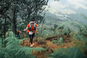 BIB: 
                            <button type="button" onclick="openModal(25338911)" class="btn btn-primary btn-sm float-right btn-popup" data-toggle="modal" data-target=".modal-high-quality">
                        <i class="fas fa-shopping-cart"></i> Add to Cart
                    </button>
                                            <button type="button" onclick="isThisMe(25338911, true)" class="btn btn-success btn-sm float-right btn-popup btn-isme hidden" data-toggle="tooltip" data-placement="bottom" title="นี่คือรูปของคุณใช่ไหม คลิกที่นี่เพื่อเอาเข้าอัลบั้ม">
                        <i class="fas fa-plus"></i> Add to album
                    </button>
                    <button type="button" onclick="isThisMe(25338911, false)" class="btn btn-warning btn-sm float-right btn-popup btn-isnotme hidden">
                        <i class="fas fa-ban"></i> Remove from album
                    </button>