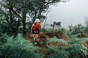 BIB: 
                            <button type="button" onclick="openModal(25330119)" class="btn btn-primary btn-sm float-right btn-popup" data-toggle="modal" data-target=".modal-high-quality">
                        <i class="fas fa-shopping-cart"></i> Add to Cart
                    </button>
                                            <button type="button" onclick="isThisMe(25330119, true)" class="btn btn-success btn-sm float-right btn-popup btn-isme hidden" data-toggle="tooltip" data-placement="bottom" title="นี่คือรูปของคุณใช่ไหม คลิกที่นี่เพื่อเอาเข้าอัลบั้ม">
                        <i class="fas fa-plus"></i> Add to album
                    </button>
                    <button type="button" onclick="isThisMe(25330119, false)" class="btn btn-warning btn-sm float-right btn-popup btn-isnotme hidden">
                        <i class="fas fa-ban"></i> Remove from album
                    </button>