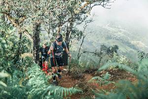 BIB: 
                            <button type="button" onclick="openModal(25338339)" class="btn btn-primary btn-sm float-right btn-popup" data-toggle="modal" data-target=".modal-high-quality">
                        <i class="fas fa-shopping-cart"></i> Add to Cart
                    </button>
                                            <button type="button" onclick="isThisMe(25338339, true)" class="btn btn-success btn-sm float-right btn-popup btn-isme hidden" data-toggle="tooltip" data-placement="bottom" title="นี่คือรูปของคุณใช่ไหม คลิกที่นี่เพื่อเอาเข้าอัลบั้ม">
                        <i class="fas fa-plus"></i> Add to album
                    </button>
                    <button type="button" onclick="isThisMe(25338339, false)" class="btn btn-warning btn-sm float-right btn-popup btn-isnotme hidden">
                        <i class="fas fa-ban"></i> Remove from album
                    </button>