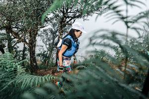 BIB: 
                            <button type="button" onclick="openModal(25328863)" class="btn btn-primary btn-sm float-right btn-popup" data-toggle="modal" data-target=".modal-high-quality">
                        <i class="fas fa-shopping-cart"></i> Add to Cart
                    </button>
                                            <button type="button" onclick="isThisMe(25328863, true)" class="btn btn-success btn-sm float-right btn-popup btn-isme hidden" data-toggle="tooltip" data-placement="bottom" title="นี่คือรูปของคุณใช่ไหม คลิกที่นี่เพื่อเอาเข้าอัลบั้ม">
                        <i class="fas fa-plus"></i> Add to album
                    </button>
                    <button type="button" onclick="isThisMe(25328863, false)" class="btn btn-warning btn-sm float-right btn-popup btn-isnotme hidden">
                        <i class="fas fa-ban"></i> Remove from album
                    </button>