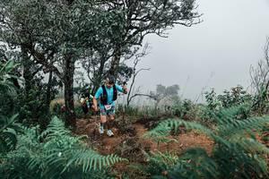 BIB: 
                            <button type="button" onclick="openModal(25329448)" class="btn btn-primary btn-sm float-right btn-popup" data-toggle="modal" data-target=".modal-high-quality">
                        <i class="fas fa-shopping-cart"></i> Add to Cart
                    </button>
                                            <button type="button" onclick="isThisMe(25329448, true)" class="btn btn-success btn-sm float-right btn-popup btn-isme hidden" data-toggle="tooltip" data-placement="bottom" title="นี่คือรูปของคุณใช่ไหม คลิกที่นี่เพื่อเอาเข้าอัลบั้ม">
                        <i class="fas fa-plus"></i> Add to album
                    </button>
                    <button type="button" onclick="isThisMe(25329448, false)" class="btn btn-warning btn-sm float-right btn-popup btn-isnotme hidden">
                        <i class="fas fa-ban"></i> Remove from album
                    </button>