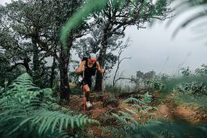 BIB: 
                            <button type="button" onclick="openModal(25328969)" class="btn btn-primary btn-sm float-right btn-popup" data-toggle="modal" data-target=".modal-high-quality">
                        <i class="fas fa-shopping-cart"></i> Add to Cart
                    </button>
                                            <button type="button" onclick="isThisMe(25328969, true)" class="btn btn-success btn-sm float-right btn-popup btn-isme hidden" data-toggle="tooltip" data-placement="bottom" title="นี่คือรูปของคุณใช่ไหม คลิกที่นี่เพื่อเอาเข้าอัลบั้ม">
                        <i class="fas fa-plus"></i> Add to album
                    </button>
                    <button type="button" onclick="isThisMe(25328969, false)" class="btn btn-warning btn-sm float-right btn-popup btn-isnotme hidden">
                        <i class="fas fa-ban"></i> Remove from album
                    </button>