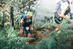 BIB: 
                            <button type="button" onclick="openModal(25338419)" class="btn btn-primary btn-sm float-right btn-popup" data-toggle="modal" data-target=".modal-high-quality">
                        <i class="fas fa-shopping-cart"></i> Add to Cart
                    </button>
                                            <button type="button" onclick="isThisMe(25338419, true)" class="btn btn-success btn-sm float-right btn-popup btn-isme hidden" data-toggle="tooltip" data-placement="bottom" title="นี่คือรูปของคุณใช่ไหม คลิกที่นี่เพื่อเอาเข้าอัลบั้ม">
                        <i class="fas fa-plus"></i> Add to album
                    </button>
                    <button type="button" onclick="isThisMe(25338419, false)" class="btn btn-warning btn-sm float-right btn-popup btn-isnotme hidden">
                        <i class="fas fa-ban"></i> Remove from album
                    </button>