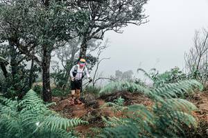 BIB: 
                            <button type="button" onclick="openModal(25329539)" class="btn btn-primary btn-sm float-right btn-popup" data-toggle="modal" data-target=".modal-high-quality">
                        <i class="fas fa-shopping-cart"></i> Add to Cart
                    </button>
                                            <button type="button" onclick="isThisMe(25329539, true)" class="btn btn-success btn-sm float-right btn-popup btn-isme hidden" data-toggle="tooltip" data-placement="bottom" title="นี่คือรูปของคุณใช่ไหม คลิกที่นี่เพื่อเอาเข้าอัลบั้ม">
                        <i class="fas fa-plus"></i> Add to album
                    </button>
                    <button type="button" onclick="isThisMe(25329539, false)" class="btn btn-warning btn-sm float-right btn-popup btn-isnotme hidden">
                        <i class="fas fa-ban"></i> Remove from album
                    </button>