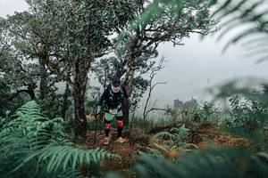 BIB: 
                            <button type="button" onclick="openModal(25329127)" class="btn btn-primary btn-sm float-right btn-popup" data-toggle="modal" data-target=".modal-high-quality">
                        <i class="fas fa-shopping-cart"></i> Add to Cart
                    </button>
                                            <button type="button" onclick="isThisMe(25329127, true)" class="btn btn-success btn-sm float-right btn-popup btn-isme hidden" data-toggle="tooltip" data-placement="bottom" title="นี่คือรูปของคุณใช่ไหม คลิกที่นี่เพื่อเอาเข้าอัลบั้ม">
                        <i class="fas fa-plus"></i> Add to album
                    </button>
                    <button type="button" onclick="isThisMe(25329127, false)" class="btn btn-warning btn-sm float-right btn-popup btn-isnotme hidden">
                        <i class="fas fa-ban"></i> Remove from album
                    </button>