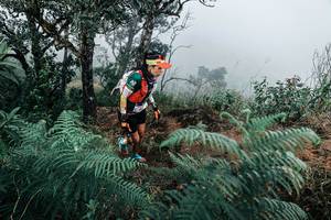 BIB: 
                            <button type="button" onclick="openModal(25329409)" class="btn btn-primary btn-sm float-right btn-popup" data-toggle="modal" data-target=".modal-high-quality">
                        <i class="fas fa-shopping-cart"></i> Add to Cart
                    </button>
                                            <button type="button" onclick="isThisMe(25329409, true)" class="btn btn-success btn-sm float-right btn-popup btn-isme hidden" data-toggle="tooltip" data-placement="bottom" title="นี่คือรูปของคุณใช่ไหม คลิกที่นี่เพื่อเอาเข้าอัลบั้ม">
                        <i class="fas fa-plus"></i> Add to album
                    </button>
                    <button type="button" onclick="isThisMe(25329409, false)" class="btn btn-warning btn-sm float-right btn-popup btn-isnotme hidden">
                        <i class="fas fa-ban"></i> Remove from album
                    </button>