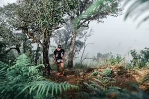 BIB: 
                            <button type="button" onclick="openModal(25328894)" class="btn btn-primary btn-sm float-right btn-popup" data-toggle="modal" data-target=".modal-high-quality">
                        <i class="fas fa-shopping-cart"></i> Add to Cart
                    </button>
                                            <button type="button" onclick="isThisMe(25328894, true)" class="btn btn-success btn-sm float-right btn-popup btn-isme hidden" data-toggle="tooltip" data-placement="bottom" title="นี่คือรูปของคุณใช่ไหม คลิกที่นี่เพื่อเอาเข้าอัลบั้ม">
                        <i class="fas fa-plus"></i> Add to album
                    </button>
                    <button type="button" onclick="isThisMe(25328894, false)" class="btn btn-warning btn-sm float-right btn-popup btn-isnotme hidden">
                        <i class="fas fa-ban"></i> Remove from album
                    </button>