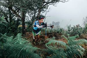 BIB: 
                            <button type="button" onclick="openModal(25330208)" class="btn btn-primary btn-sm float-right btn-popup" data-toggle="modal" data-target=".modal-high-quality">
                        <i class="fas fa-shopping-cart"></i> Add to Cart
                    </button>
                                            <button type="button" onclick="isThisMe(25330208, true)" class="btn btn-success btn-sm float-right btn-popup btn-isme hidden" data-toggle="tooltip" data-placement="bottom" title="นี่คือรูปของคุณใช่ไหม คลิกที่นี่เพื่อเอาเข้าอัลบั้ม">
                        <i class="fas fa-plus"></i> Add to album
                    </button>
                    <button type="button" onclick="isThisMe(25330208, false)" class="btn btn-warning btn-sm float-right btn-popup btn-isnotme hidden">
                        <i class="fas fa-ban"></i> Remove from album
                    </button>